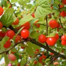 산내시장 이미지