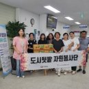 감자마을 이미지