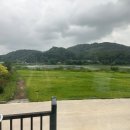 더 레이크 서지 이미지