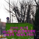 가나푸드 이미지