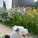 경충대로 2709번길 5 이미지