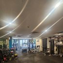 비디오뱅크 | 일상) 시드니 도착 후 할 일 해치우기 1 _ Aldi 유심칩 구매, NAB 계좌 개설, 인스펙션 후 집 구하기 후기