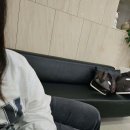 현대외과의원 이미지