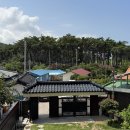 궁전노래방 | [부안 여행] 대가족·단체여행 추천 숙소, 숲속궁전하우스 펜션 후기