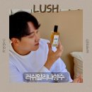 러쉬 알리나 향수 후기! 자연스럽게 변하는 남자 데일리 젠더리스 향수