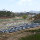 옥천농장 이미지