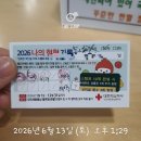 올리브영대전터미널점 | 84번째 헌혈(혈장)과 거대한 나눔이 인형_20260613