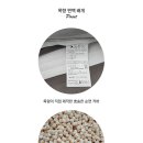목향편백 이미지