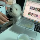죽이야기 면목본동점 이미지