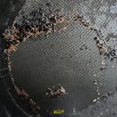 전라카센타 이미지