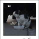 갤러리리디아 네이버블로그
