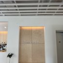 신주포레