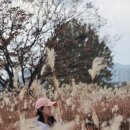 금강3농장 이미지