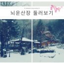 뇌운산장