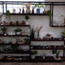 카페(Cafe) 세시봉 | 20190720-20190728 치앙마이(5) : 반캉왓