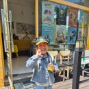 신길선사유적지 이미지