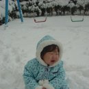 눈과 함께 이미지