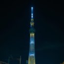 스카이라이팅 - 고양시 덕양구 향동로 217 | 스카이라이팅