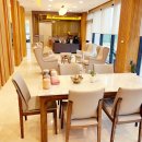 펫로스 케어 이미지