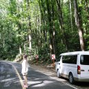 삼대농장 | 보홀 3박 5일 일정 및 보홀 육상 나팔링 투어 등 보홀여행 후기