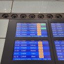 CA001 | 2026년 1월 중국국제항공 에어차이나 CA0126 베이징 서우두 공항 PEK경유 CA0829 카이로CAI 도착 후기