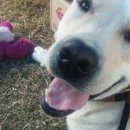 두아름농장 이미지