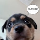 구사구오