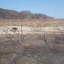 감곡농장 이미지