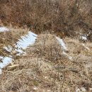 인흥농장 이미지