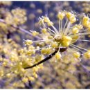 고도농장 이미지