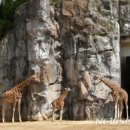 오월드2 이미지