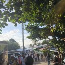 눈먼고래 | 세부 자유여행 오슬롭 고래상어 투말록폭포 모알보알 (캐녀닝X)