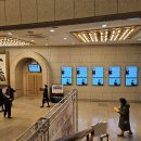 수원시립교향악단 신년음악회 | 춘천시립 교향악단 2024 신년음악회 관람 후기