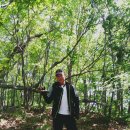 어린왕자게스트하우스 이미지