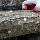 한가족농장 이미지