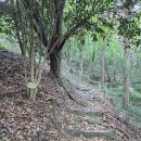 광주어등산(석봉338m) 25,06,01 이미지