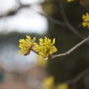 주천면사무소 이미지