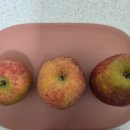 버들골농장 이미지