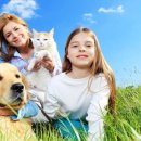 협동동물병원 이미지