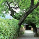 이너피스 이미지