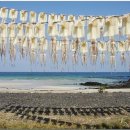 구좌 해안도로 이미지