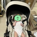 싸이러스 | [유아용품 후기] ​[내돈내산] 휴대용 유모차 추천! 싸이러스 2 구매 후기 (찐만족)