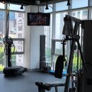 소나무 휘트니스 이미지