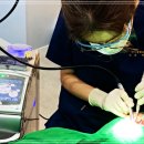 메디컬뱅크치과의원 이미지