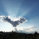 청명 행정사사무소 이미지