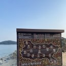 진하해수욕장 명선도 다녀온 후기