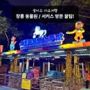 시대는 서커스의 코끼리 타고 | 중국 광저우 창롱 동물원 서커스 방문 후기 입장권 셔틀버스 소요시간