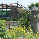 몬딱쉼터 | R. 김경숙해바라기농장 : 제주도에서 해바라기를 보려고 찾아간 곳(feat. 돈아까)