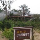 횡성자연휴양림 이미지