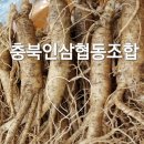 충북인삼협동조합 - 청주시 흥덕구 | 충북인삼협동조합